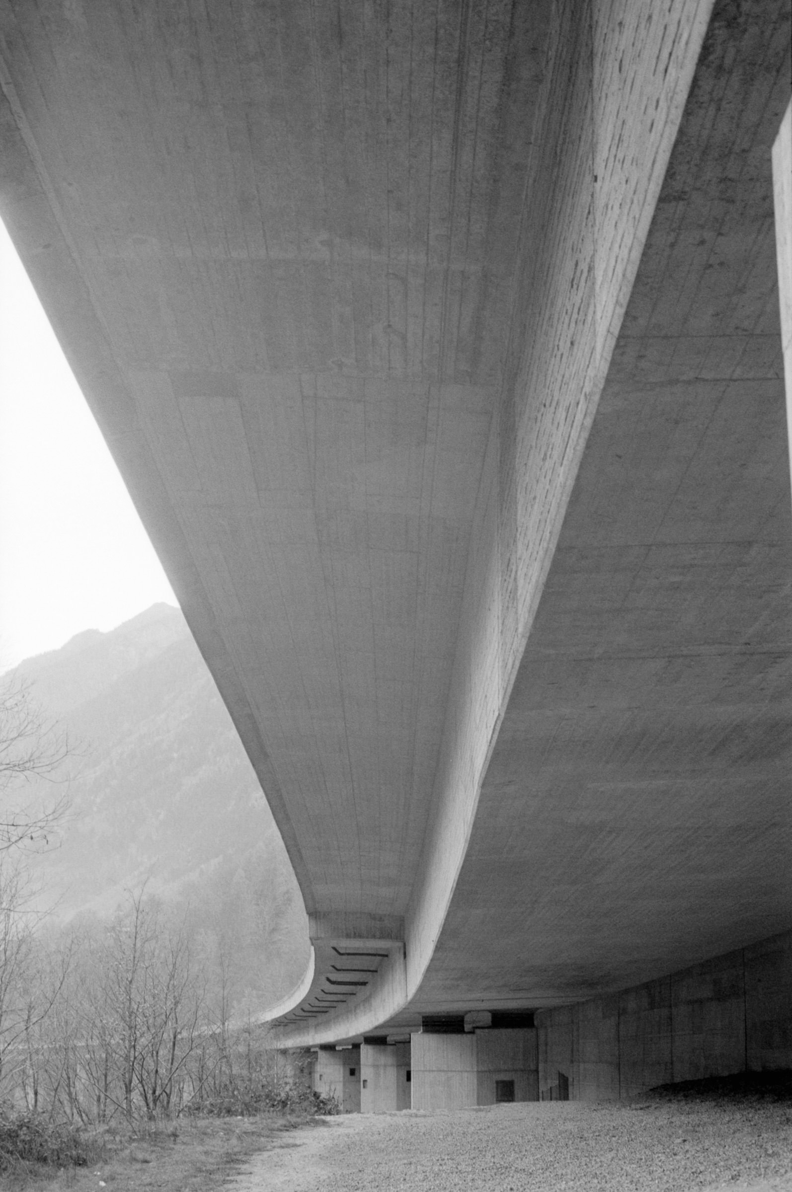 AHP F1994 11 006 sc250521 img04 NLP